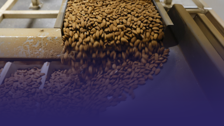 Global Tariffs Shake California Almond Industry