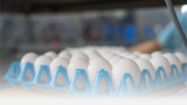 Why U.S. Breakfast Depends on Brazil’s Eggs