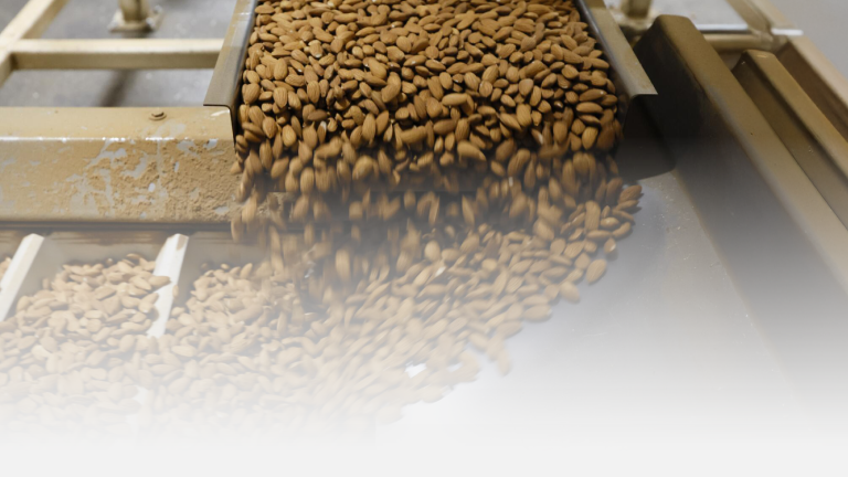 How Tariffs Shake the US Almond Industry?