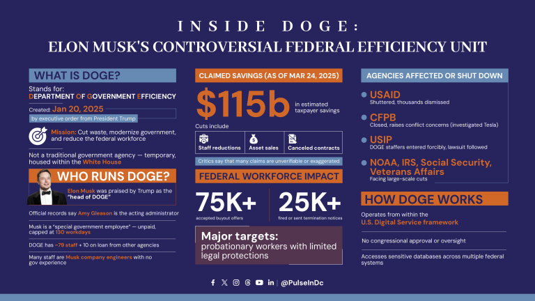 Inside DOGE: Elon Musk’s Controversial Federal Efficiency Unit