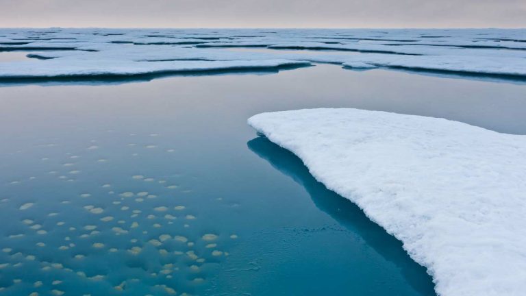 Arctic Sea Ice Shrinks to Record Low, NSIDC Confirms