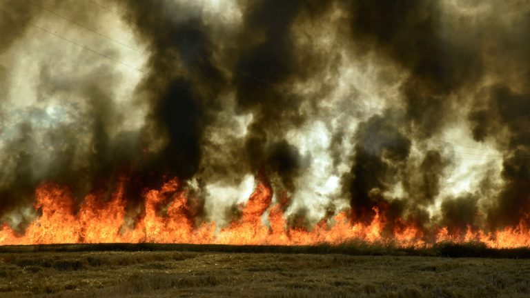 Is the planet hitting a climate tipping point?