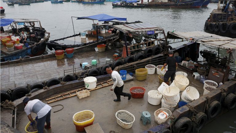 US Tariffs Hit China’s Tilapia Industry Hard