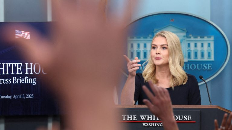 White House Offers Paid Flights for Voluntary “Self-Deportation”