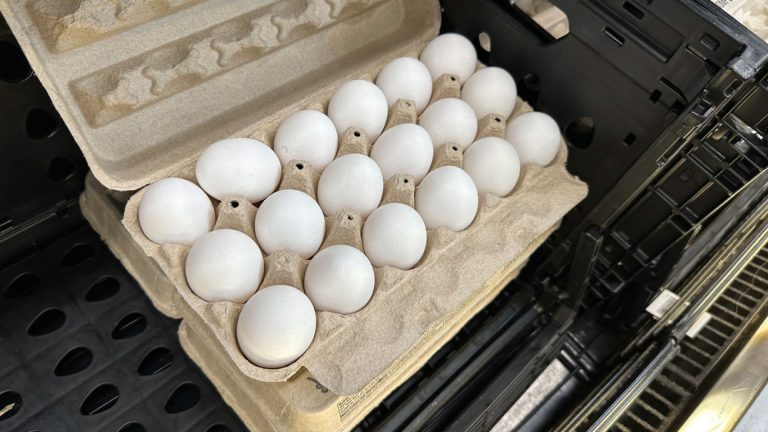 1.7 Million Eggs Pulled from Shelves Amid Salmonella Outbreak in US