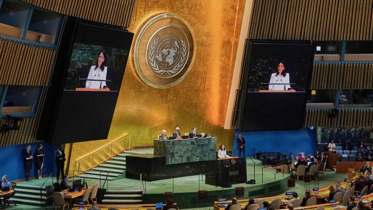 New Voices at the Table: 5 Nations Elected to UN Security Council