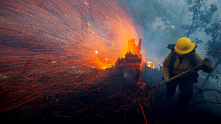 2025 Wildfires Push Disaster Losses to Record Highs Since Fukushima