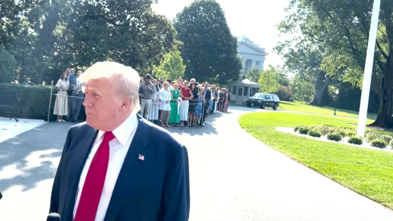 EVERYTHING FAKE WITH THE DEMOCRATS SAYS TRUMP