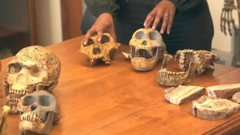 Decoded in Africa: A Fossil Find That Changes Everything