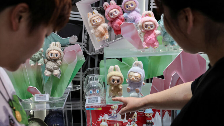 Erbil Bans Viral Labubu Doll Over Scams, Cultural Concerns