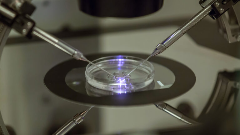 UK Scientists Use 3-Parent IVF to Prevent Genetic Diseases