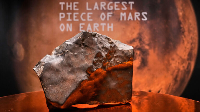 Would You Pay $2-4M for a Rock from Mars?