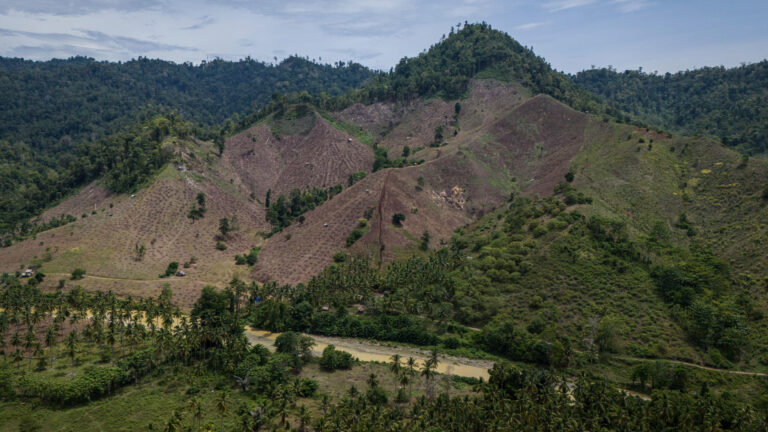Half a Million Lives Lost to Tropical Deforestation, Study Shows