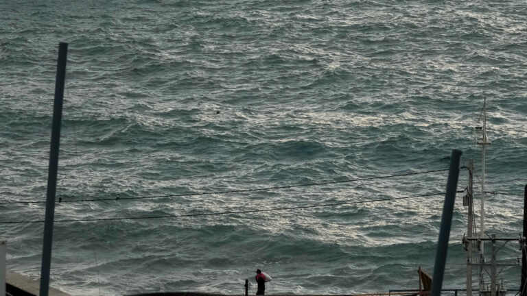 Tsunamis Explained: What They Are and How to Prepare