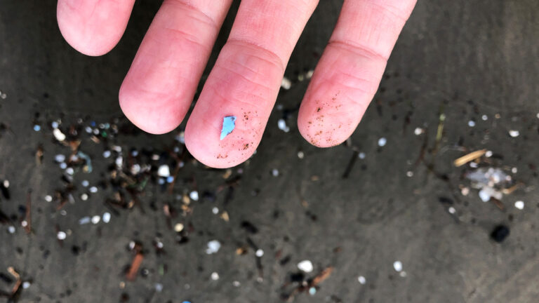 Up to 68,000 microplastics enter lungs daily, new study shows