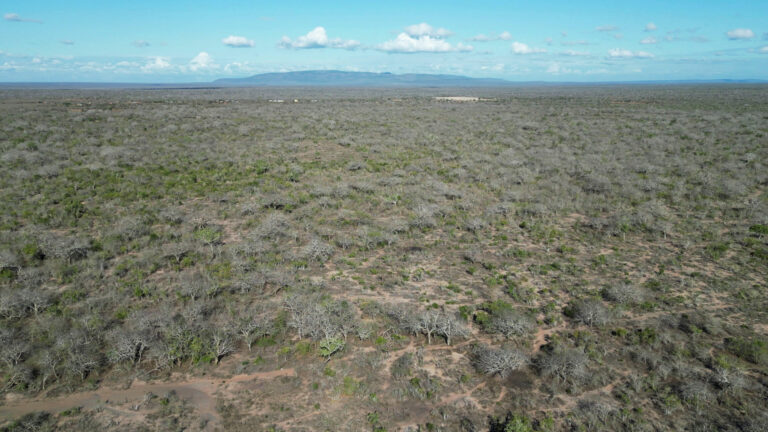 From Latin America to Europe: West Africa’s Rising Role in Cocaine Trade