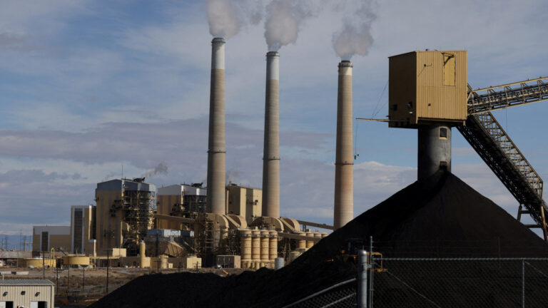 From Womb to Grace, Fossil Fuels Harming Humans