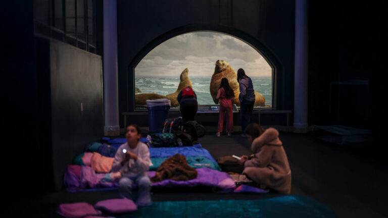 A Real-Life ‘Night at the Museum’ Returns