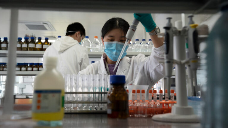 China Uses Gene-Edited Animals to Win Biotech Race