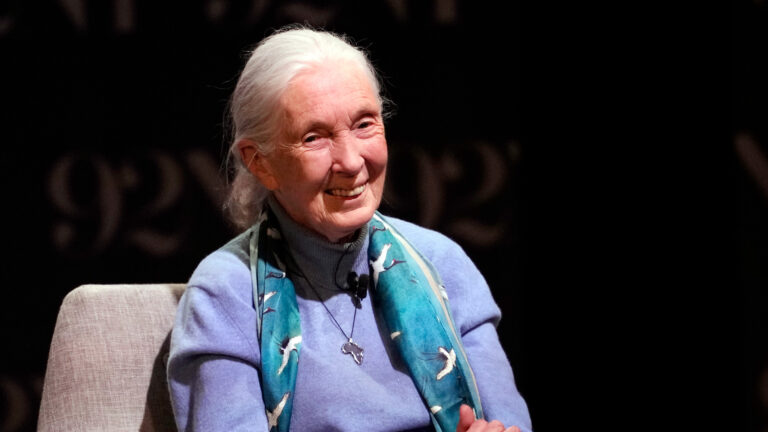 Jane Goodall, Conservation Icon and Scientist, Dies at 91