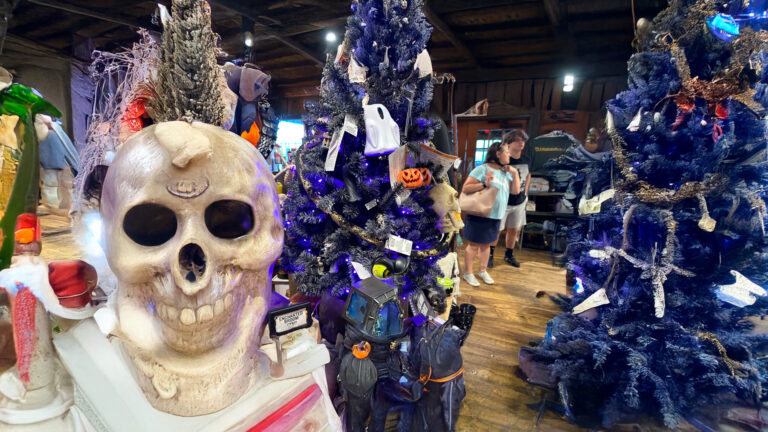 Trick-or-Tariff: Why Costumes for Halloween Cost More in 2025