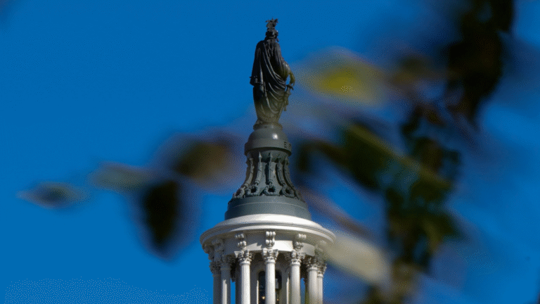 Senate Moves to End Shutdown as Supreme Court Reviews Mail-In Ballot Case