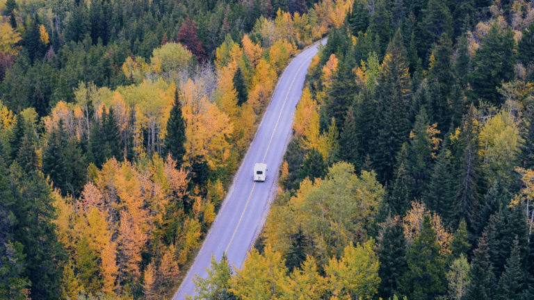 Thanksgiving Travel Surge Hits Record Levels Across the U.S.