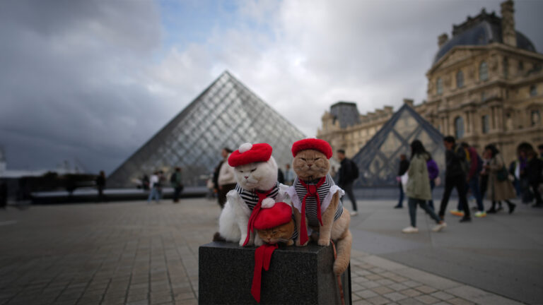 From Pharaohs to Sofas: How Cats Slowly Moved Into Human Homes