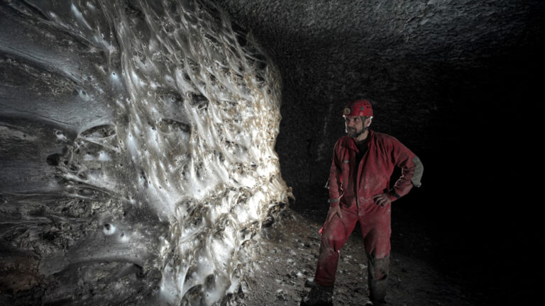 The Giant Underground Spider City Scientists Never Expected