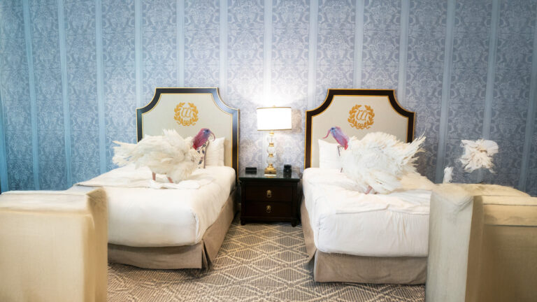 VIP Treatment for America’s Luckiest Turkeys Before Pardon Day