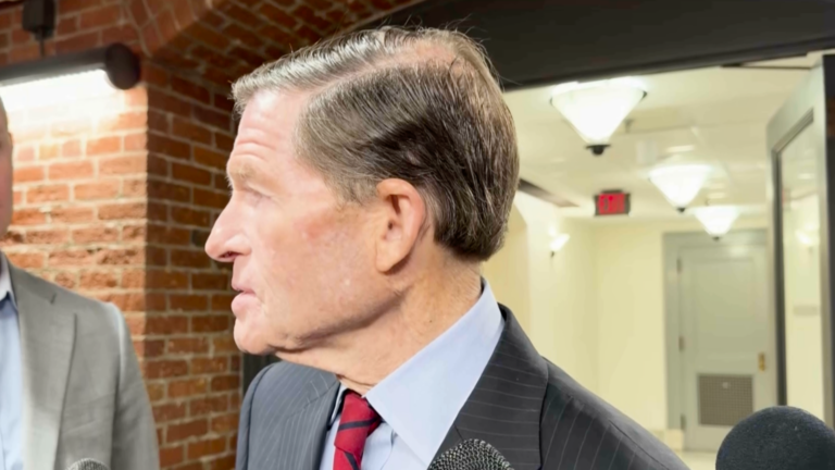 Blumenthal Warns of Potential Threat from Muslim Brotherhood