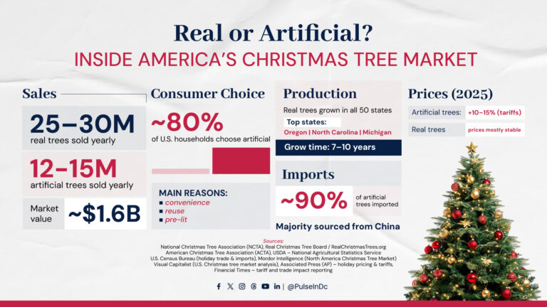 Real or Artificial? Inside America’s Christmas Tree Market