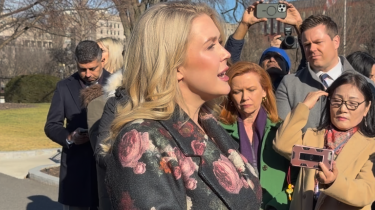 Karoline Leavitt Praises ICE and Border Security Efforts