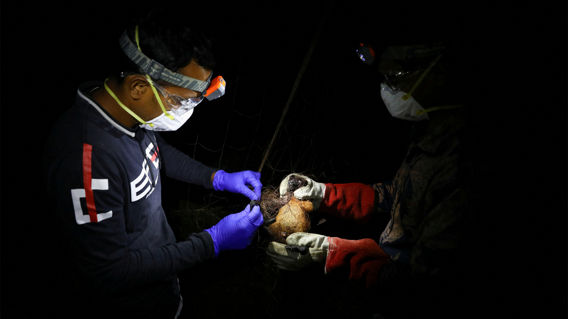 How Serious Is the Nipah Virus After New Cases in India?