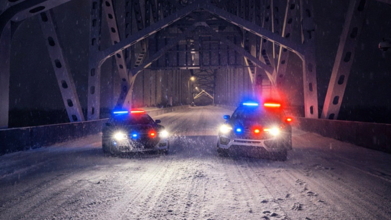 LMPD Goes Viral After Flood of Snowstorm Posts