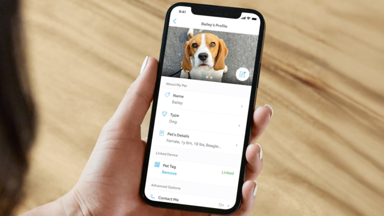 The Super Bowl Ad That Turned a Pet Feature Into a Debate