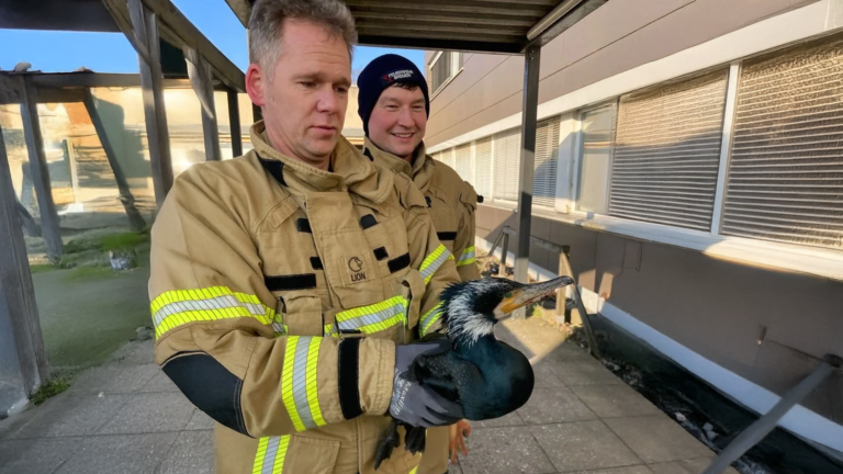Unexpected Visitor: Injured Bird shows up at German ER
