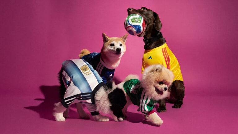 Adidas Drops World Cup Jerseys For Your Pets