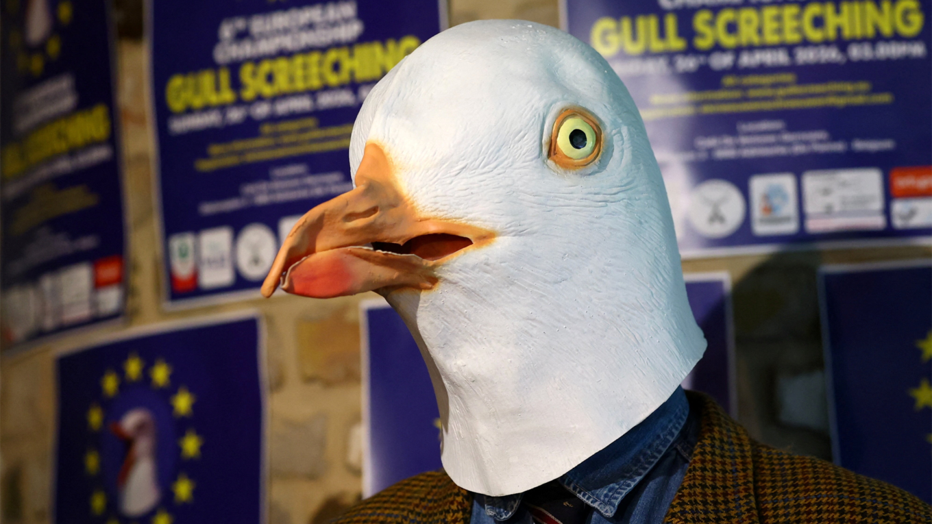 Europe’s Loudest Contest: Seagull Screeching Championship