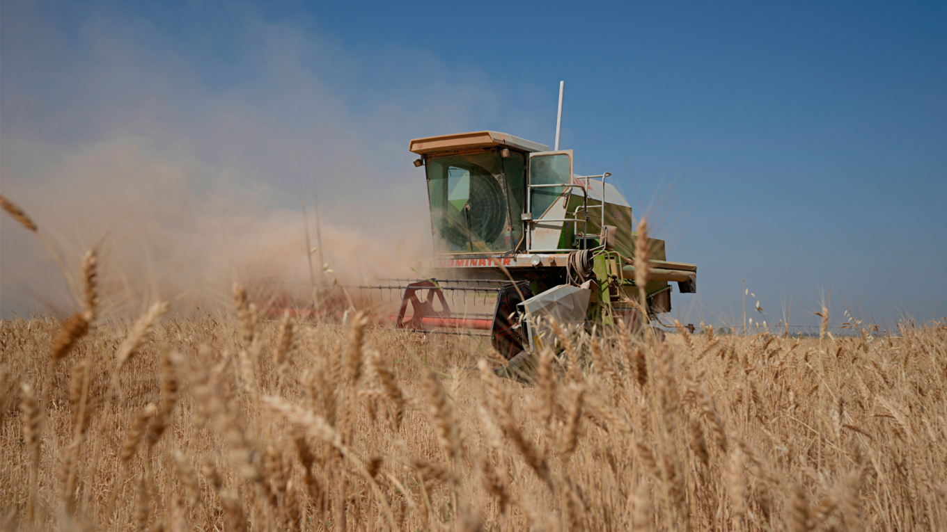 Kurdistan Region Slams Baghdad Wheat Quotas as “Unjust”