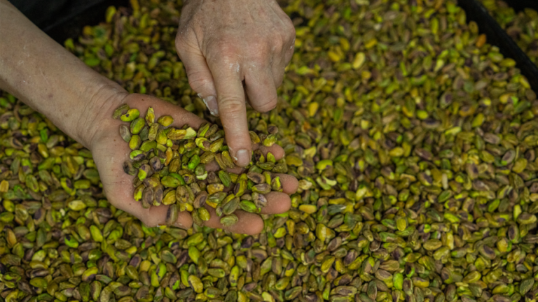 Pistachio Crisis: How War Is Driving Snack Prices Up