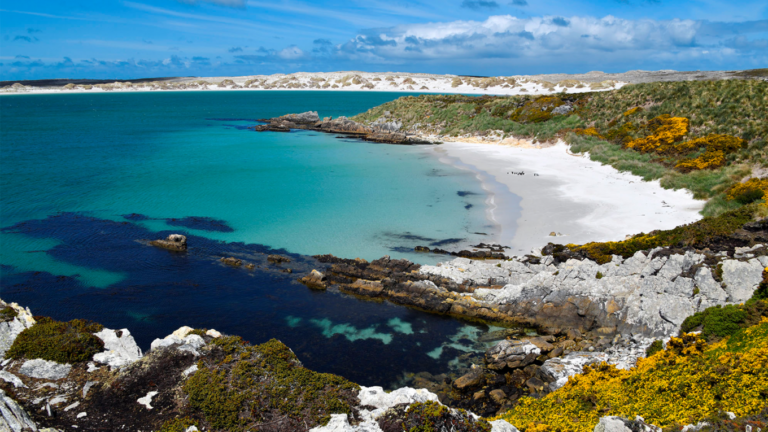 US Mulls Shift on UK Claim to Falklands Over Iran War