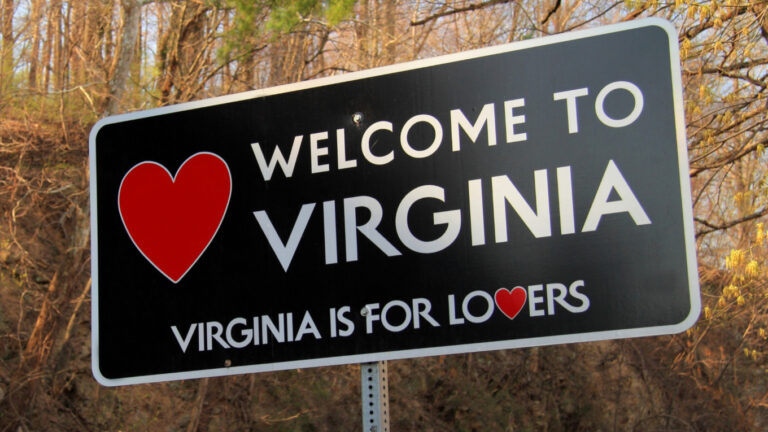 Court Blocks Parts of Virginia Redistricting Plan