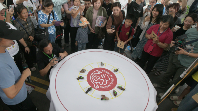 Snail Racing Is Saving This Taiwanese Town